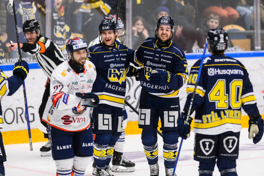 HV71s Radan Lenc jublar