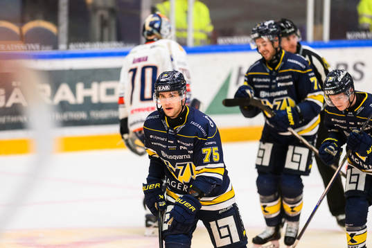 HV71s Radan Lenc