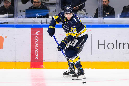 HV71s Radan Lenc