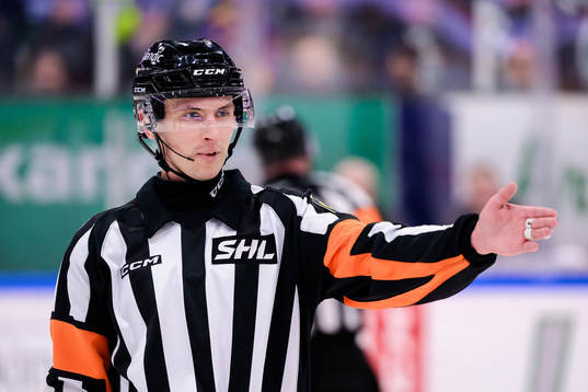 Domare Mikael Holm