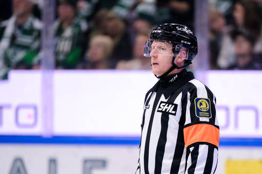 Domare Mikael Holm