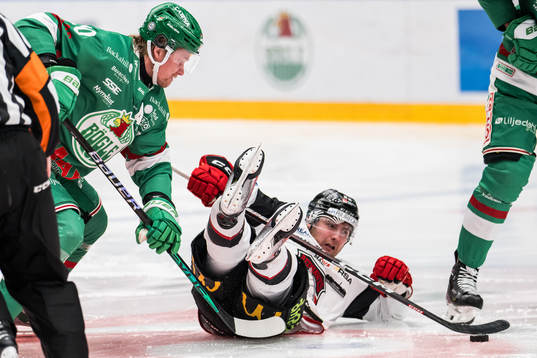 Rögles Rodrigo Abols och Malmö Redhawks Janne Kuokkanen