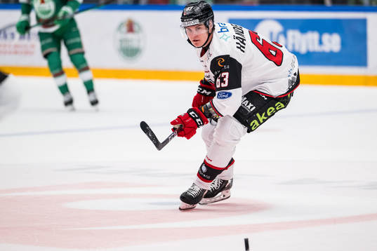 Malmö Redhawks Fredrik Händemark