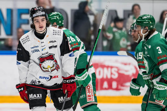 Malmö Redhawks Dominik Badinka deppar