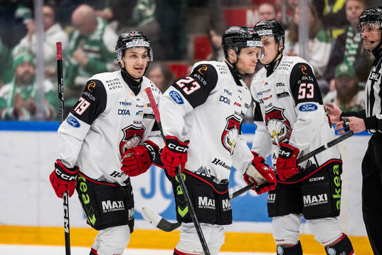Malmö Redhawks Jakub Galvas deppar och Christoffer Forsberg
