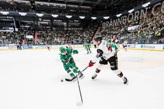 Rögles Henry Bowlby och Malmö Redhawks Jakub Galvas