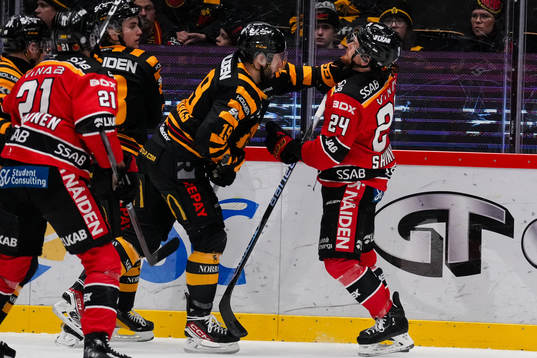 Skellefteås Martins Dzierkals och Luleås Brendan Shinnimin