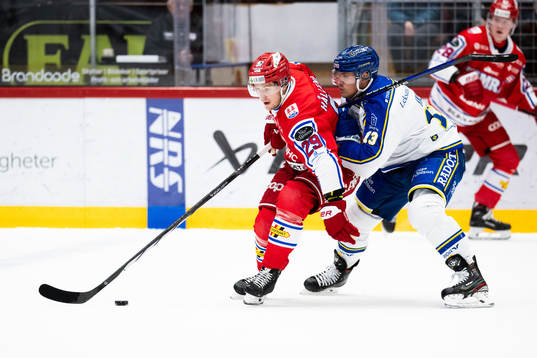 Timrås Filip Hållander