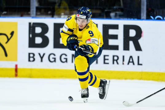 Theo Lindstein of Sweden celebrating