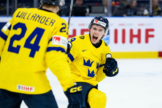 Theo Lindstein of Sweden celebrating