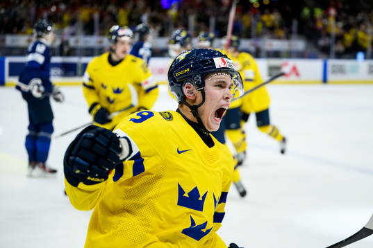 Theo Lindstein of Sweden celebrating