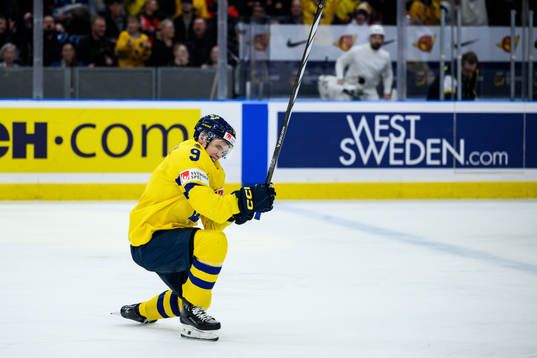 Theo Lindstein of Sweden celebrates