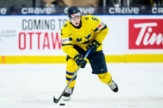 duringMattias Hävelid of Sweden  the 2024 IIHF World