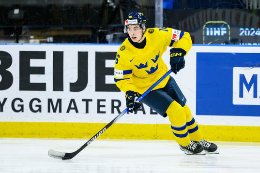 duringFelix Unger Sörum of Sweden  the 2024 IIHF World