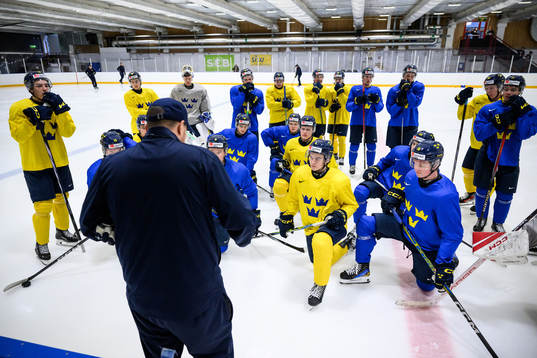 Players of Sweden at a practice session