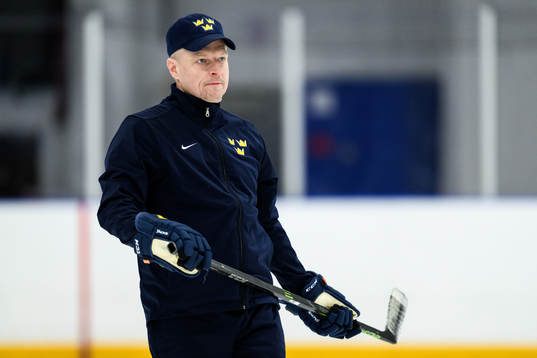Head coach Magnus Hävelid of Sweden at a practice session