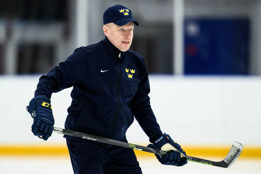 Head coach Magnus Hävelid of Sweden at a practice session