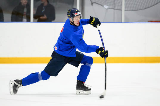 Anton Johansson of Sweden at a practice session