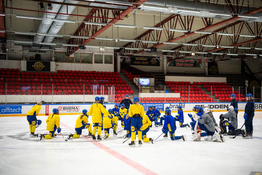 Players of Sweden at a practice session