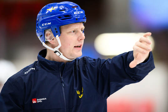 Head of player development at the Swedish Ice Hockey