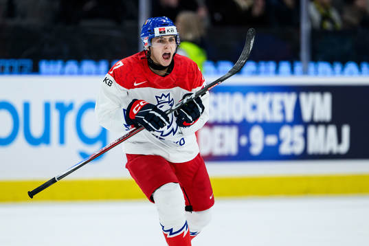 Tomas Cibulka of Czech Republic celebrates