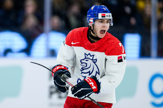 Tomas Cibulka of Czech Republic celebrates