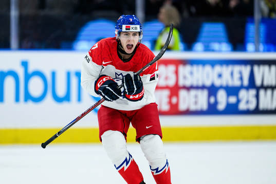 Tomas Cibulka of Czech Republic celebrates