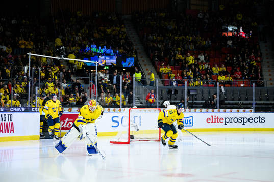 Goaltender Hugo Hävelid and Rasmus Rudslätt of Sweden