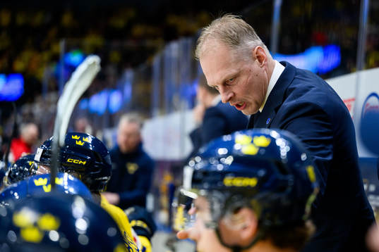 Head coach Magnus Hävelid of Sweden