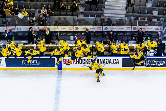 Players and coaching staff of Sweden celebrate