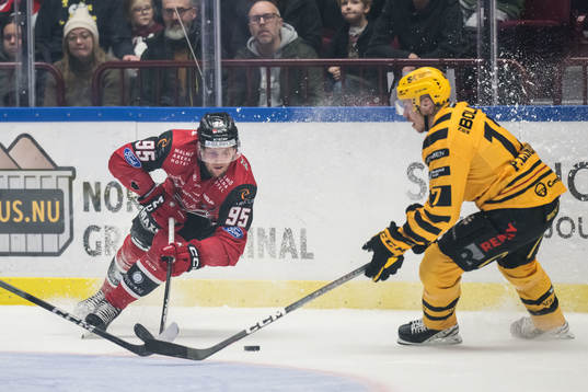 Malmö Redhawks Carl Persson och Skellefteås Pär Lindholm