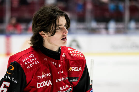 Malmö Redhawks Dominik Badinka