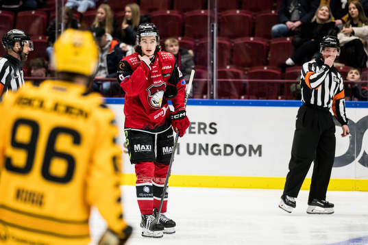 Malmö Redhawks Dominik Badinka