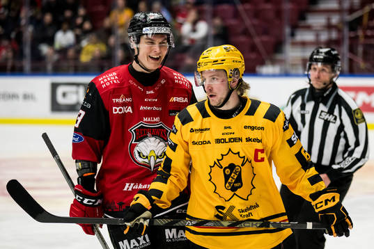 Malmö Redhawks Fredrik Händemark och Skellefteås