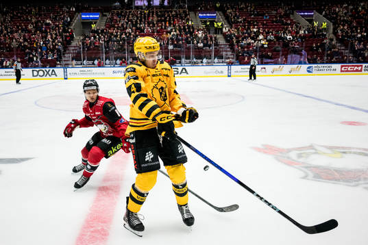 Malmö Redhawks Johan Olofsson och Skellefteås Tim Barkemo