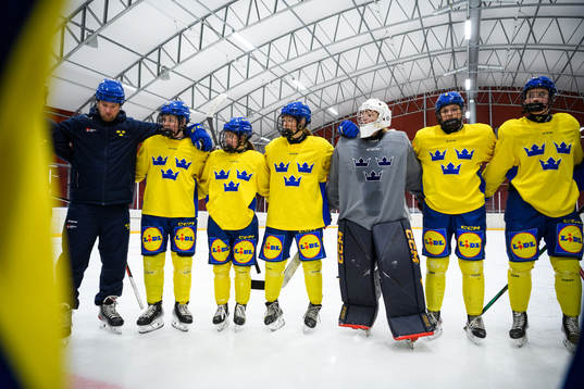 Players of Sweden at a practice session