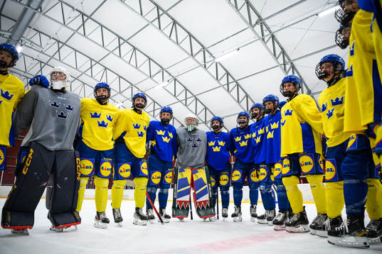 Players of Sweden at a practice session