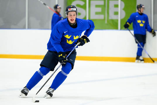Anton Johansson of Sweden at a practice session