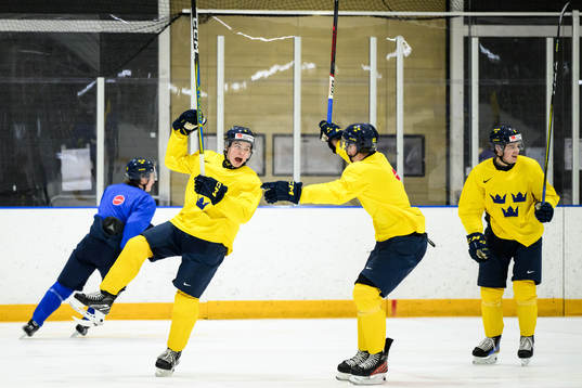 Axel Sandin-Pellikka and Anton Wahlberg of Sweden at a