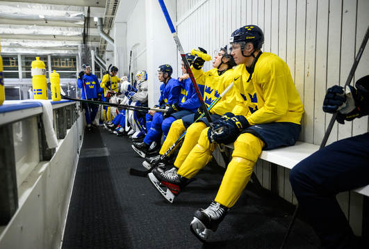 Axel Sandin-Pellikka and Anton Wahlberg of Sweden at a
