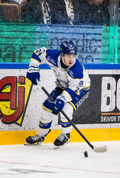 Leksands Arvid Eljas
