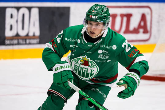 Rögles Samuel Jonsson