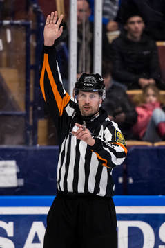 Domare Johan Magnusson
