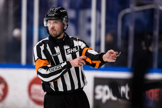 Domare Johan Magnusson