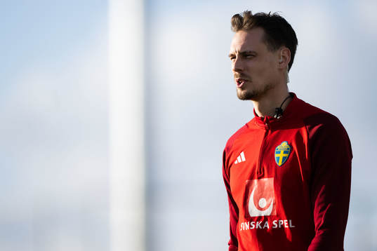 Interim coach Daniel Bäckström of the Swedish men's