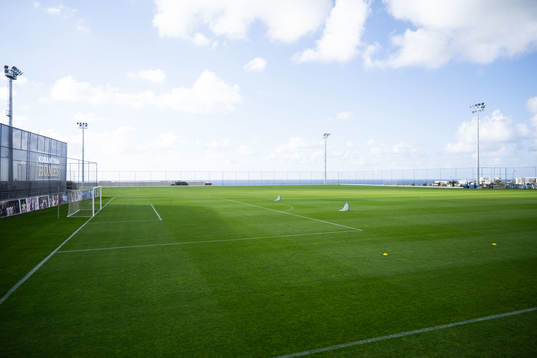 Pitch