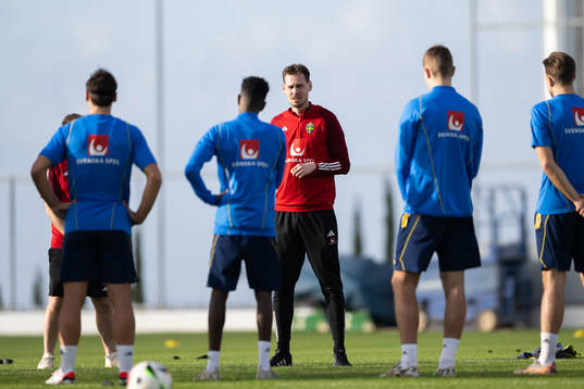Interim coach Daniel Bäckström of the Swedish men's