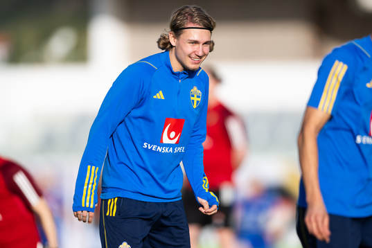 Sebastian Nanasi of the Swedish men's football national