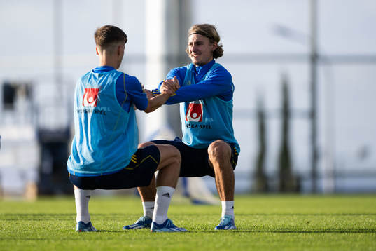 Samuel Leach Holm and Sebastian Nanasi of the Swedish men's