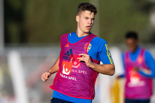 Samuel Dahl of the Swedish men's football national team at